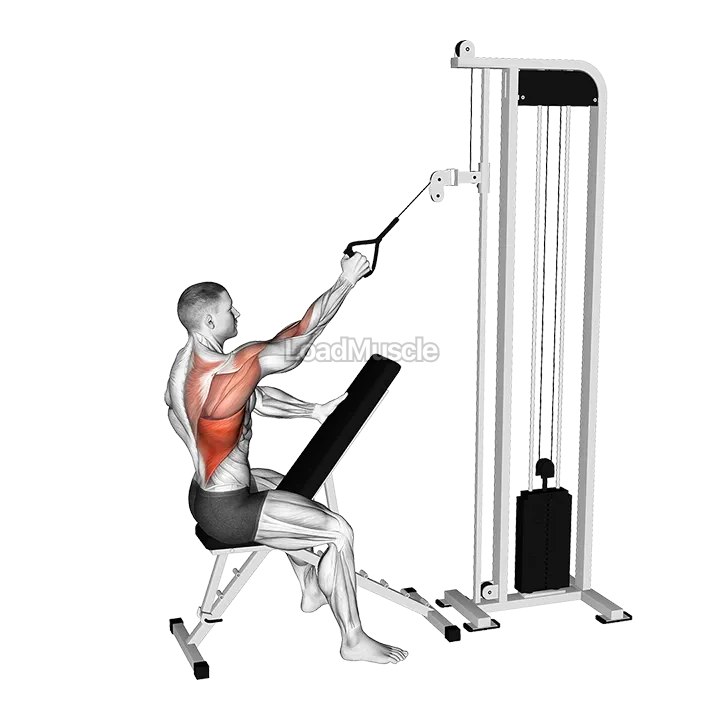 Cable Single Arm High Row demonstration
