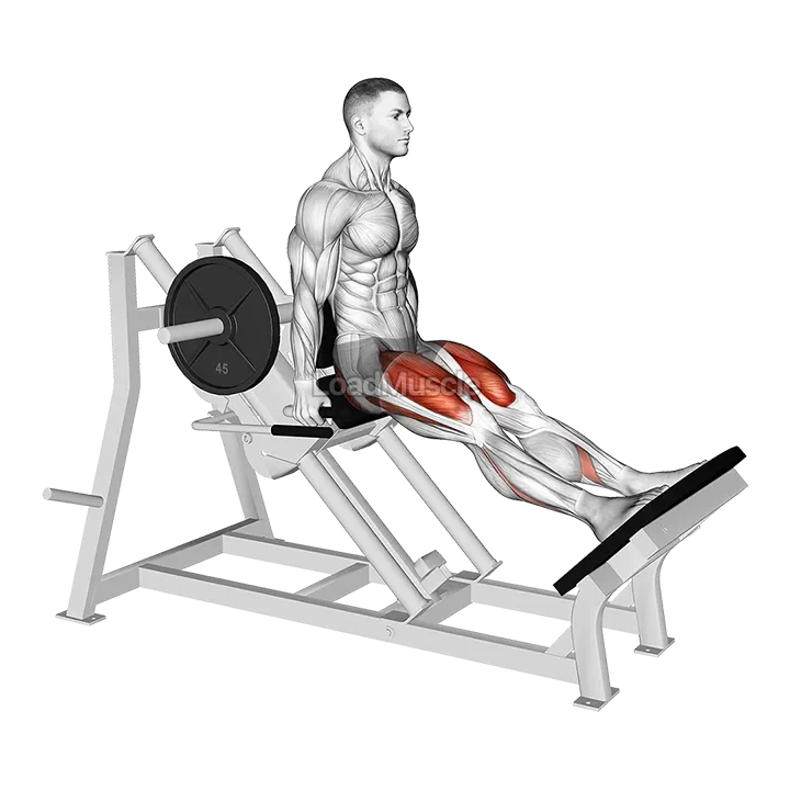 Lever Linear Hack Squat demonstration