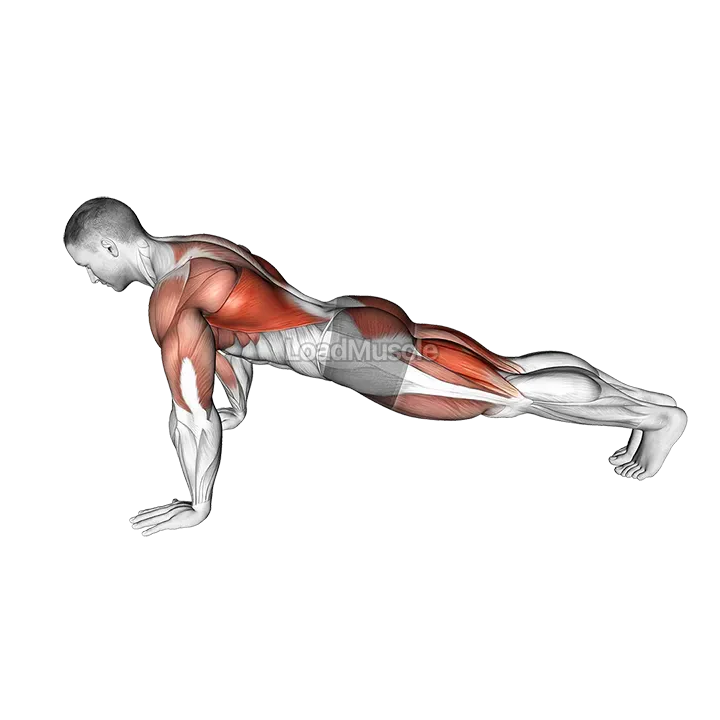 Push-up Pull demonstration