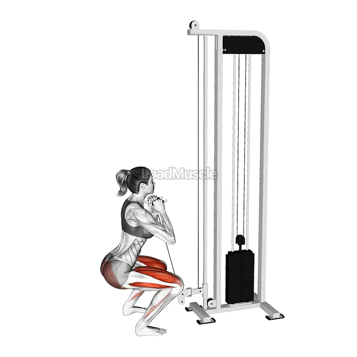 Cable Goblet Squat demonstration