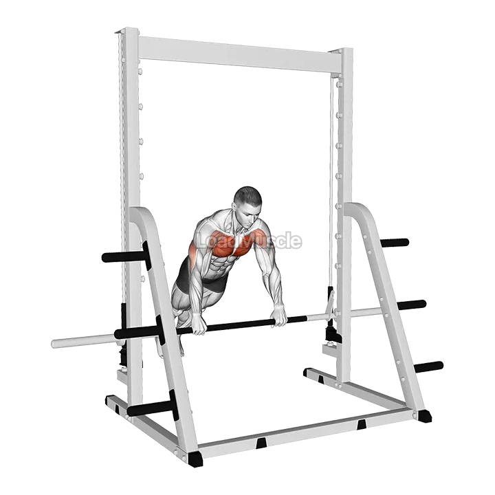 Incline Push-up on a Smith Bar demonstration