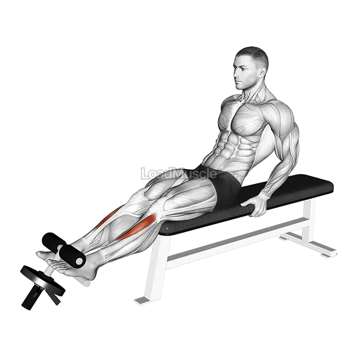 Weighted Plate Tibialis Anterior Curl demonstration