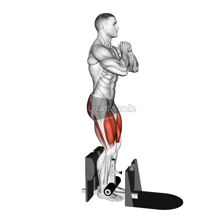 Bodyweight Supported Squat demonstration