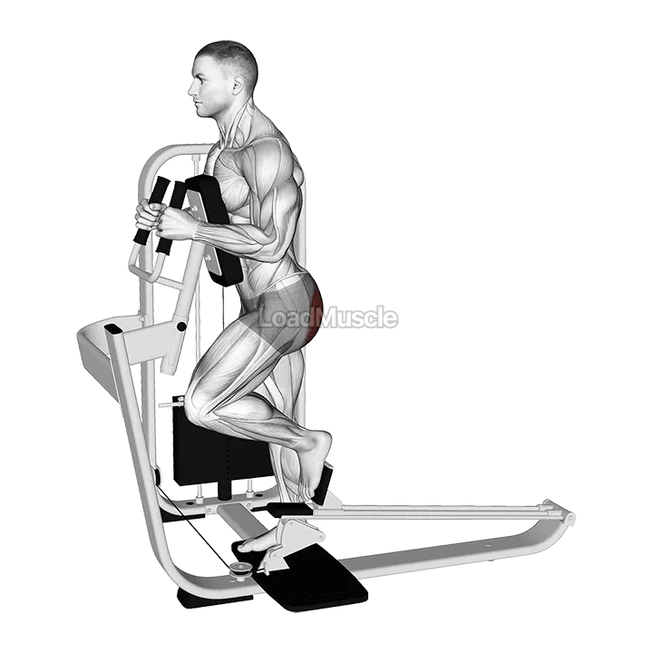 Lever Glute Press demonstration