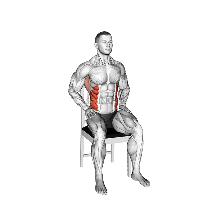 Diagonal Reach on Chair demonstration