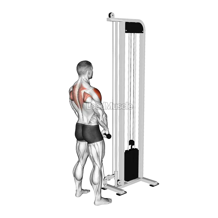 Cable High Pull with Rope Attachment demonstration