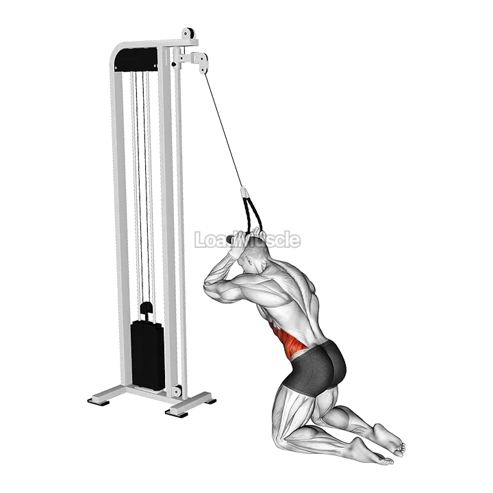 Cable Kneeling Side Crunch demonstration