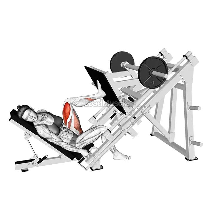 Sled Angled Single Leg Press demonstration