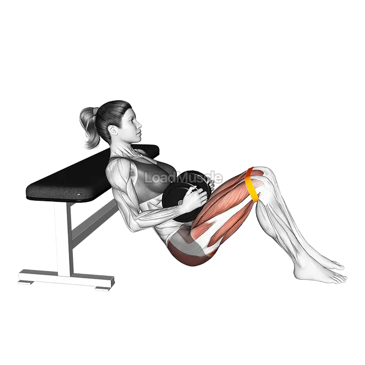 Dumbbell Banded Hip Thrust demonstration