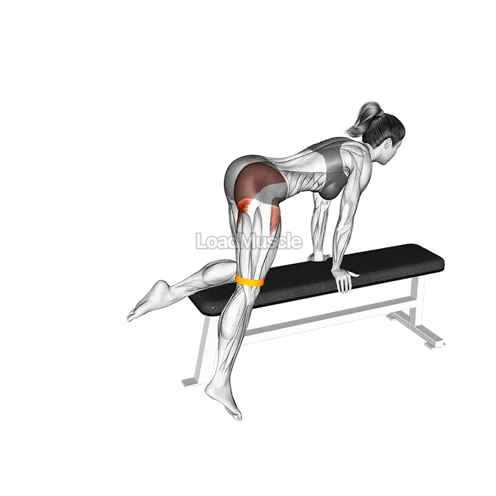 Resistance Band Kneeling Leg Half Circle on bench demonstration