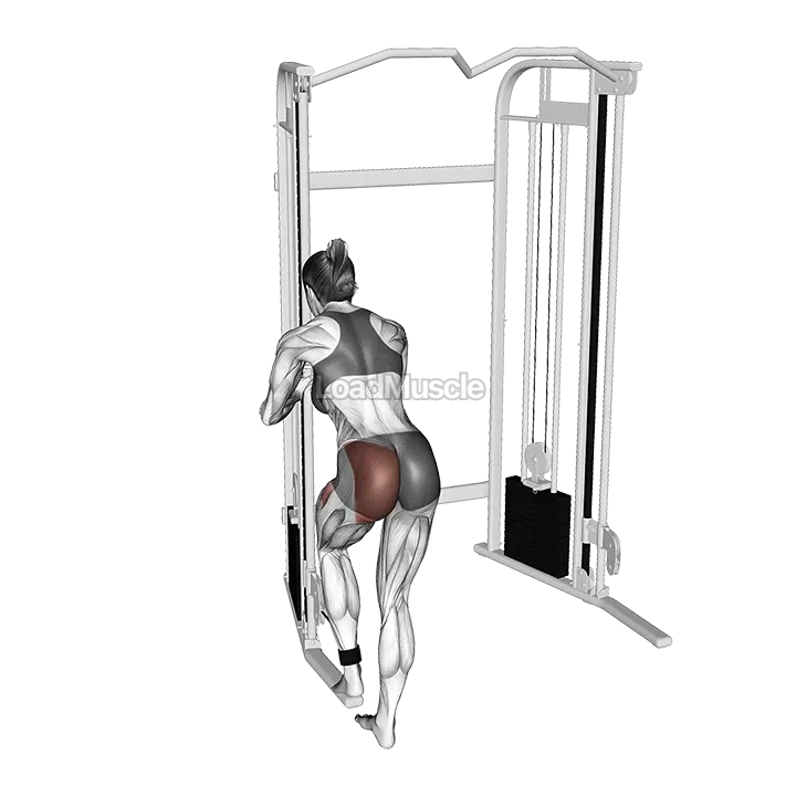 Cable Donkey Diagonal Kickback demonstration