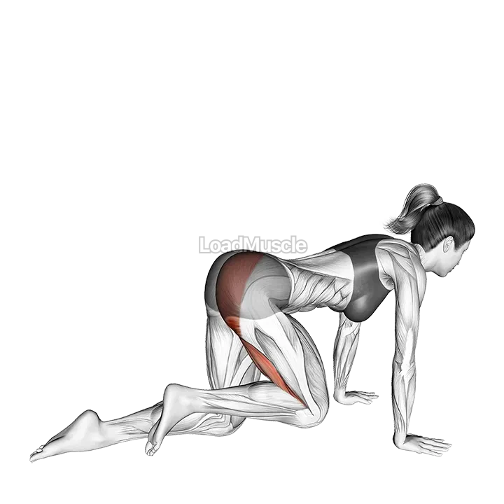 Kneeling Glute Press demonstration