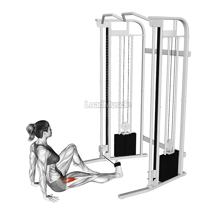 Seated Hip External Rotation demonstration