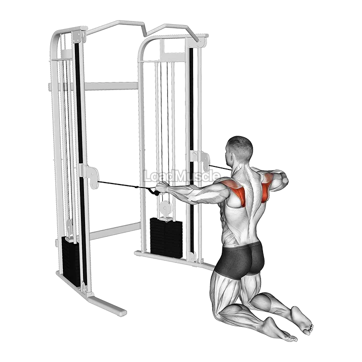 Cable Kneeling Shoulder External Rotation demonstration