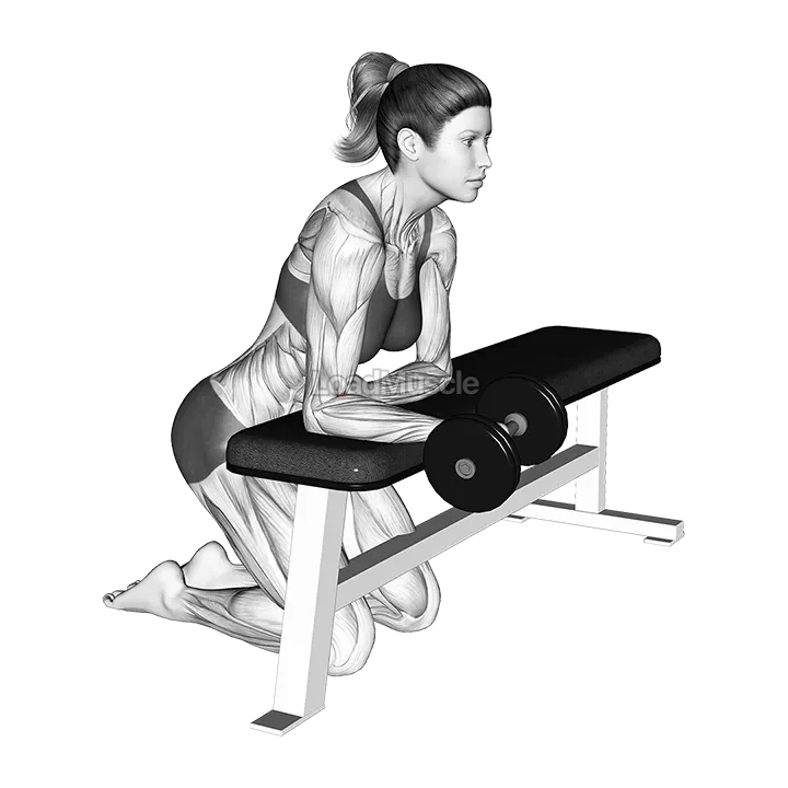 Dumbbell Over the Bench Supination demonstration