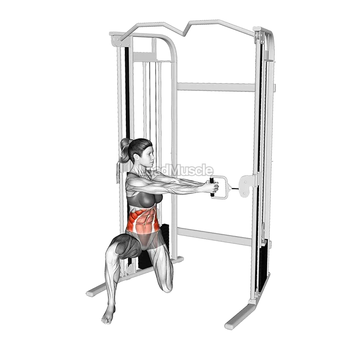 Cable Kneeling Twist demonstration