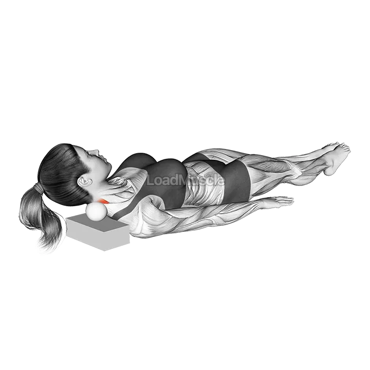 Roll Ball Lying Semisplinalis Capitis Muscle Activation demonstration