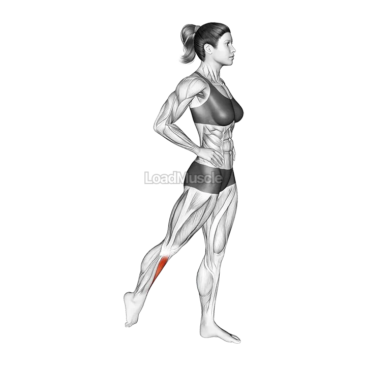 Standing Tibialis Anterior Stretch demonstration