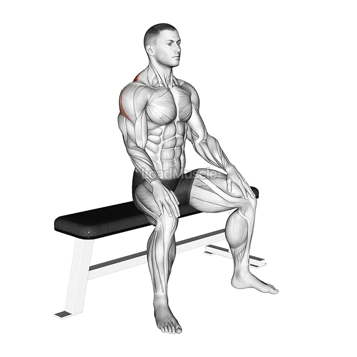 Seated Rhomboid Stretch demonstration