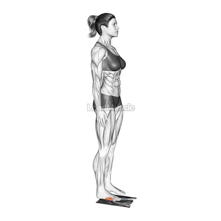 Standing Foot Muscles Activation demonstration