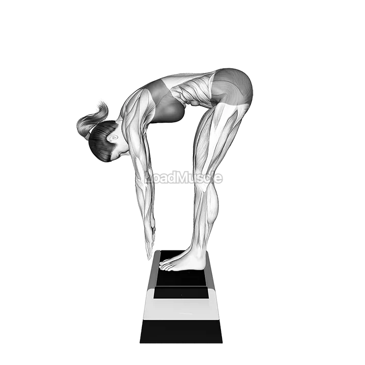 Posterior Chain Flexibility Test demonstration