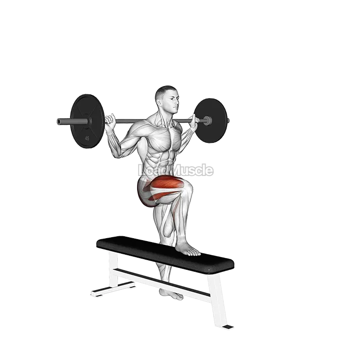 Barbell Bench Lateral Step-up demonstration
