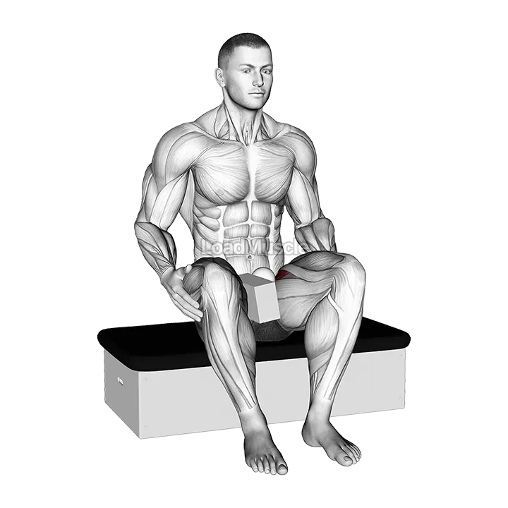 Roll Ball Seated Pectineus Activation demonstration