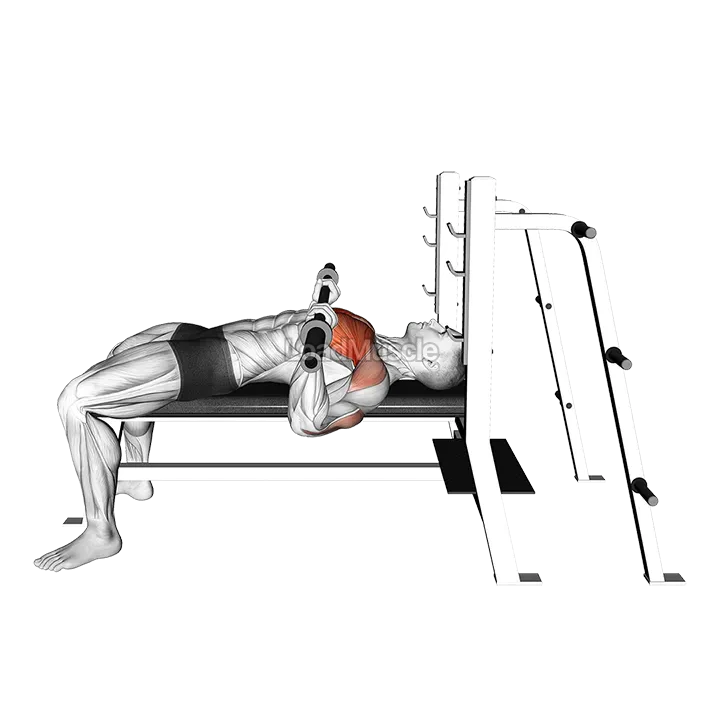 Barbell Bench Press (side POV) demonstration