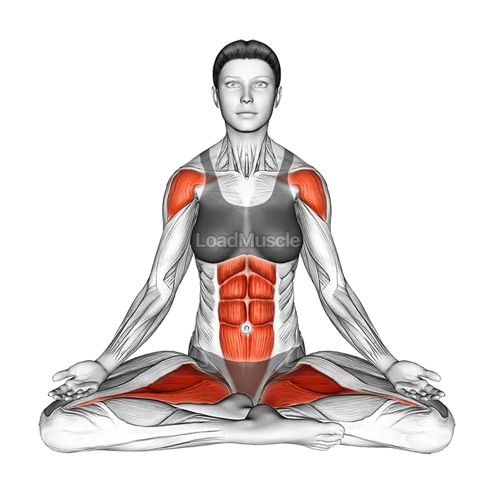 Sitting Yoga Pose Siddhasana demonstration