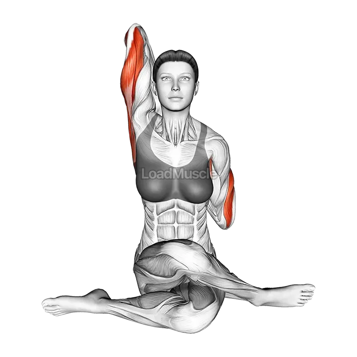 Cow Face Yoga Pose Gomukhasana demonstration