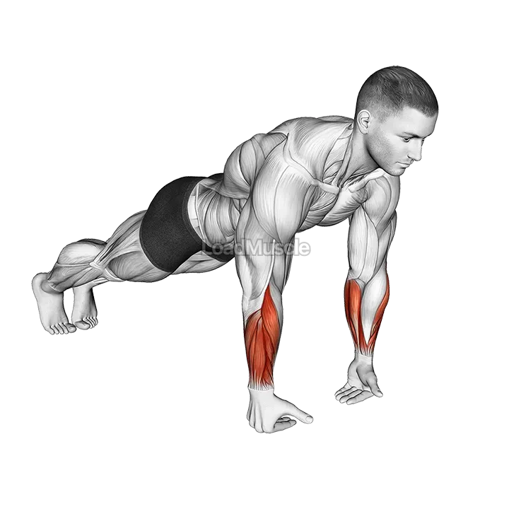 Wrist Push-up demonstration