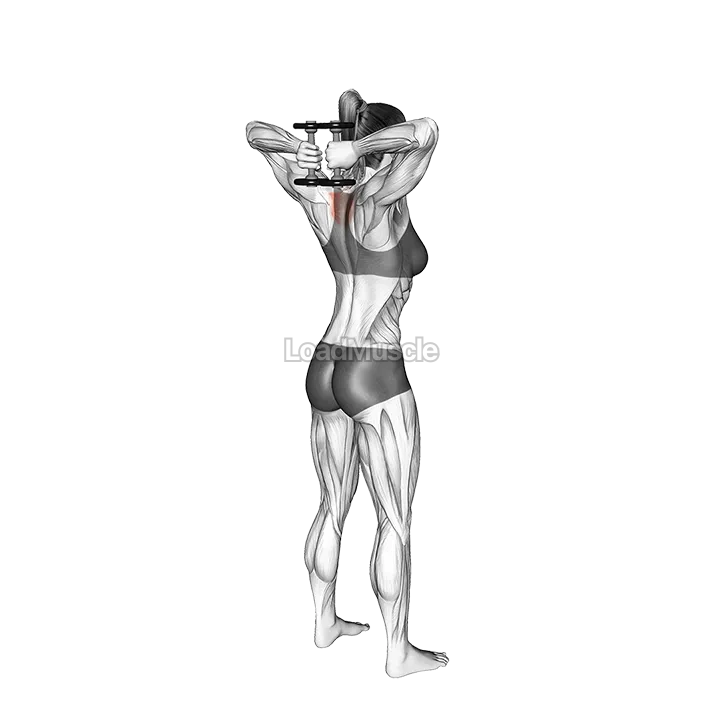 Dumbbell Standing T spine Press demonstration