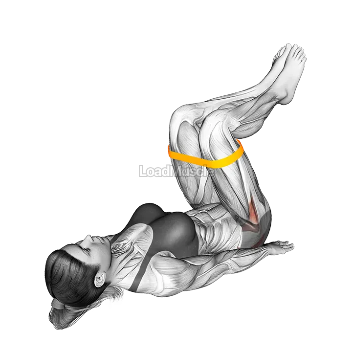 Resistance Band Lying Bent Knee Hip Abduction demonstration