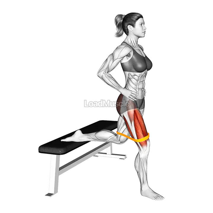 Resistance Band Bulgarian Squat demonstration