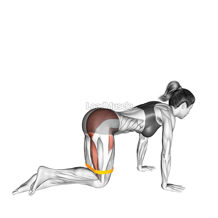 Resistance Band Kneeling Back Kick demonstration