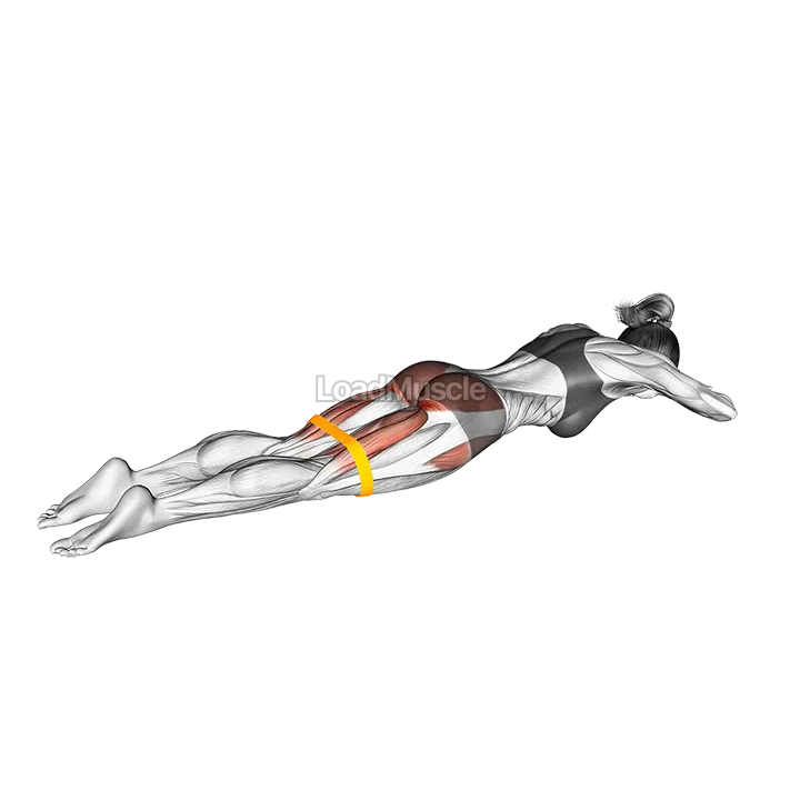 Resistance Band Lying Hyperextension Abduction demonstration