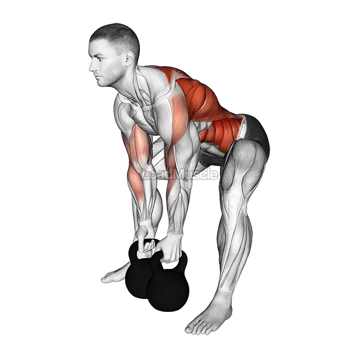 Kettlebell Gorilla Row demonstration