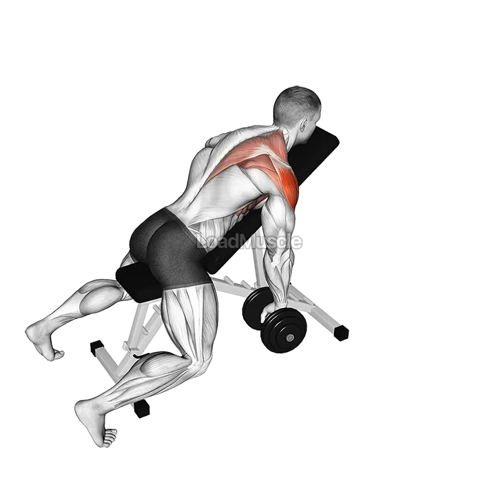 Dumbbell Incline Single Arm Y Raise demonstration