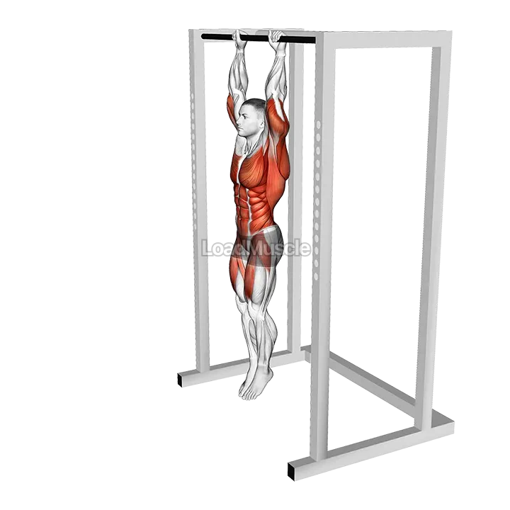 Hanging Front Lever Raise demonstration