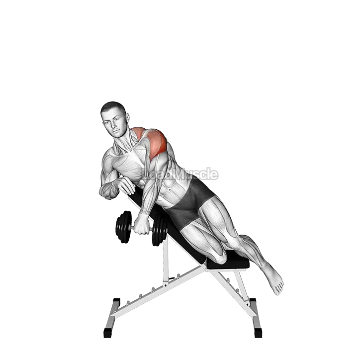 Dumbbell Incline Powell Raise demonstration