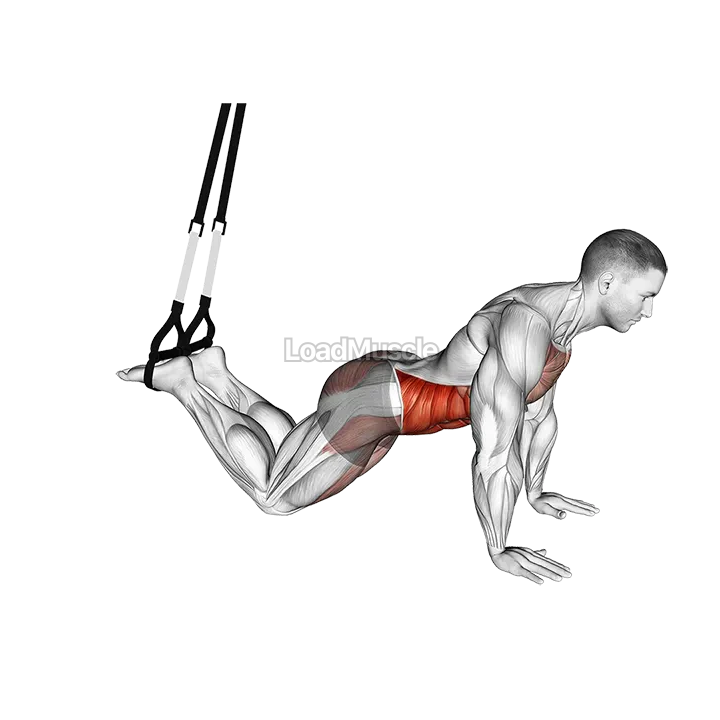 Suspender Front Plank demonstration