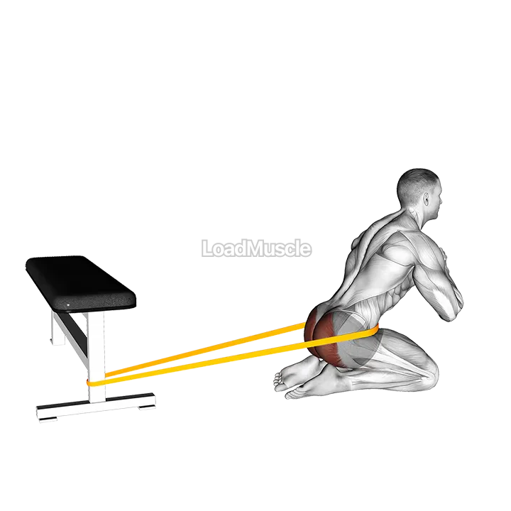Resistance Band Hip Thrusts on Knees demonstration