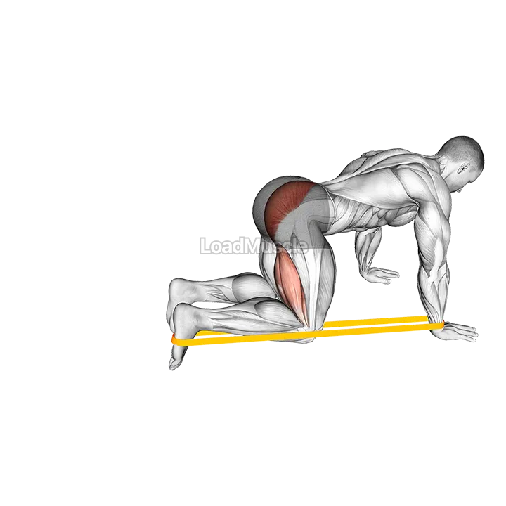 Resistance Band Leg Kickback demonstration