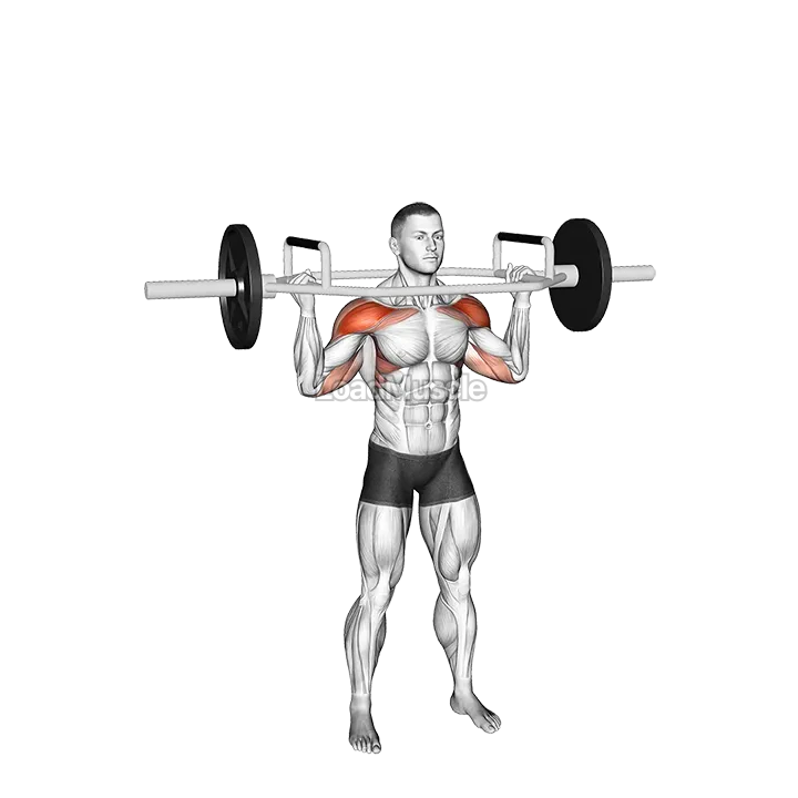 Trap Bar Overhead Press demonstration