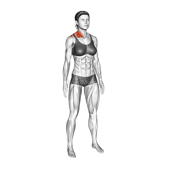 Standing Side Neck Stretch demonstration