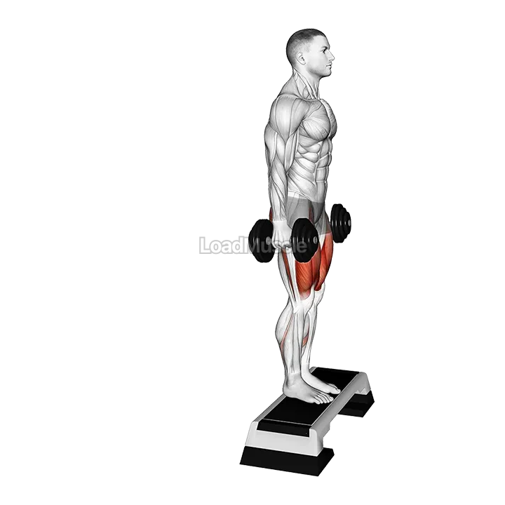Dumbbell Reverse Lunge from Deficit demonstration