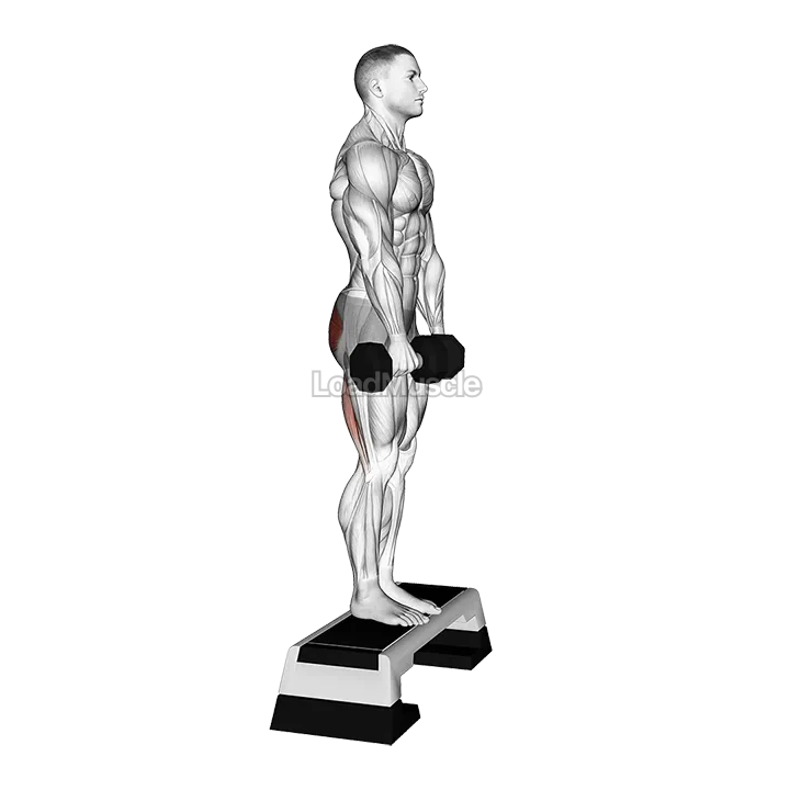 Dumbbell Jefferson Curl demonstration