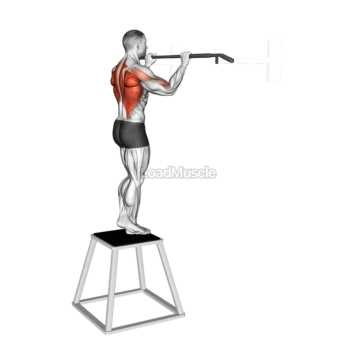 Pull-up (negative) demonstration