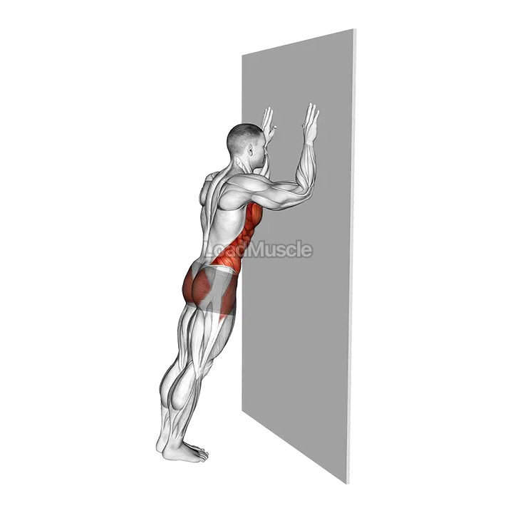 Wall Plank demonstration