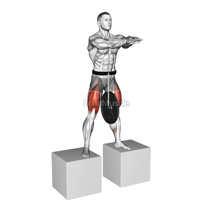 Weighted Full Squat from Deficit demonstration